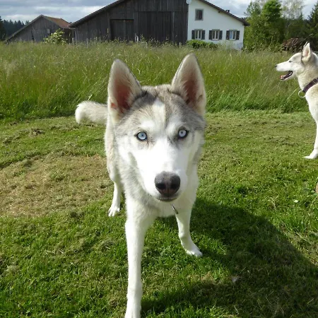 Vent_du_nord Apartamento *